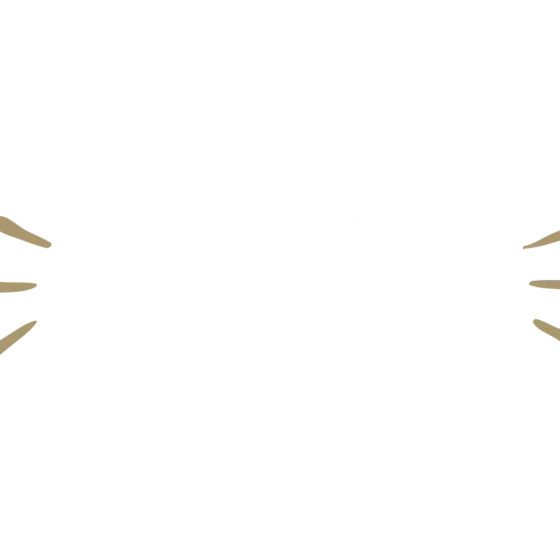 Завжди смачне м'ясо Sveganas